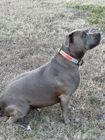 processed/6fb0db9a-c3dc-43bb-9dd1-936c638c1c9c/listing/4818213d-7c44-45c2-a345-49488bbca5a3/32e1d8ce-f781-4fd7-8573-1bdf5b399657