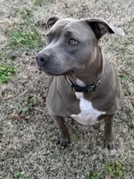 processed/6fb0db9a-c3dc-43bb-9dd1-936c638c1c9c/listing/4818213d-7c44-45c2-a345-49488bbca5a3/3a09eb09-a540-4aa8-b617-8b08b262129a