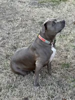 processed/6fb0db9a-c3dc-43bb-9dd1-936c638c1c9c/listing/4818213d-7c44-45c2-a345-49488bbca5a3/e30cbb25-d3df-4a80-8500-e4a19af55dd4