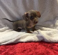 processed/6fb0db9a-c3dc-43bb-9dd1-936c638c1c9c/listing/88372a59-a9a0-4d64-a0ea-d4a980042576/1681edb7-8372-41af-aaeb-412a02e7d1e7