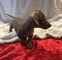 processed/6fb0db9a-c3dc-43bb-9dd1-936c638c1c9c/listing/88372a59-a9a0-4d64-a0ea-d4a980042576/8a070203-c694-450a-829e-1a968f6dd032