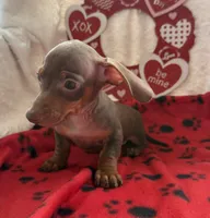 processed/6fb0db9a-c3dc-43bb-9dd1-936c638c1c9c/listing/88372a59-a9a0-4d64-a0ea-d4a980042576/c7f2dc44-4749-472b-9112-d680b9db0444