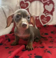 processed/6fb0db9a-c3dc-43bb-9dd1-936c638c1c9c/listing/88372a59-a9a0-4d64-a0ea-d4a980042576/e98477b1-572e-47dc-a35f-d6fd64d9d739