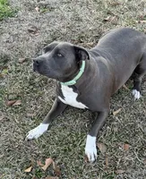 processed/6fb0db9a-c3dc-43bb-9dd1-936c638c1c9c/listing/b2e80a78-1ff1-402c-a715-48de533b5f73/ec4df0b1-83ce-4a17-b634-344f06b01d82