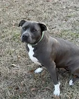 processed/6fb0db9a-c3dc-43bb-9dd1-936c638c1c9c/listing/b2e80a78-1ff1-402c-a715-48de533b5f73/f80d8feb-d745-4f51-81c8-2d5fabc86ebd