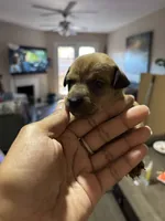 processed/6fb0f993-6dbb-4d1c-9a90-c21610b5a56e/listing/05f26f67-a915-422a-8043-1fb0d4757687/53ed9a91-a00a-4852-9b5e-afa418656048