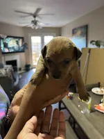 processed/6fb0f993-6dbb-4d1c-9a90-c21610b5a56e/listing/05f26f67-a915-422a-8043-1fb0d4757687/8e4c425e-c69f-4a88-8838-23eb28e4ff5b