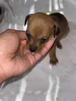 processed/6fb0f993-6dbb-4d1c-9a90-c21610b5a56e/listing/05f26f67-a915-422a-8043-1fb0d4757687/b96c0ea6-b725-43fc-af5c-8d00f21a8f32