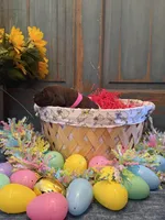 Pink Girl, a female German Shorthaired Pointer for sale in Fort Meade, FL – Photo 2 of 3