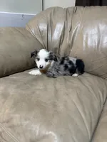 processed/6fbd615c-a1b8-427c-89e9-193ce1e3c3b6/listing/32469379-6c16-4dfc-a3fd-524b90f96beb/2b9ac3bf-2755-44db-86ab-7294dc0b545a