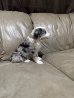 processed/6fbd615c-a1b8-427c-89e9-193ce1e3c3b6/listing/32469379-6c16-4dfc-a3fd-524b90f96beb/35c97418-b3f9-425e-966f-6703192346fd