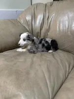 processed/6fbd615c-a1b8-427c-89e9-193ce1e3c3b6/listing/32469379-6c16-4dfc-a3fd-524b90f96beb/3f3aef51-17c4-4d1e-b3f7-f33db23b9c9c