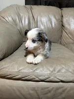 processed/6fbd615c-a1b8-427c-89e9-193ce1e3c3b6/listing/32469379-6c16-4dfc-a3fd-524b90f96beb/59eef6e6-cfb9-4e06-a0d1-77dd06b71956