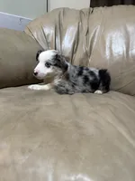 processed/6fbd615c-a1b8-427c-89e9-193ce1e3c3b6/listing/32469379-6c16-4dfc-a3fd-524b90f96beb/7242161f-51fd-4f02-8ec6-dc1db6441a0c