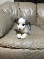 processed/6fbd615c-a1b8-427c-89e9-193ce1e3c3b6/listing/32469379-6c16-4dfc-a3fd-524b90f96beb/764252cb-b433-4981-965b-f8b13282b432