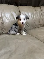 processed/6fbd615c-a1b8-427c-89e9-193ce1e3c3b6/listing/32469379-6c16-4dfc-a3fd-524b90f96beb/8cb973bf-237c-467b-914b-7f12bf9b5172