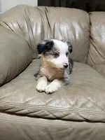 processed/6fbd615c-a1b8-427c-89e9-193ce1e3c3b6/listing/32469379-6c16-4dfc-a3fd-524b90f96beb/ebef824e-0eae-457b-8a74-52a3b6ceb064