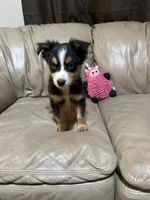 processed/6fbd615c-a1b8-427c-89e9-193ce1e3c3b6/listing/baa4a049-15fe-4660-9fd2-6aef0174b14d/2d26f646-c642-493f-aad8-9b2a1ca0cba3