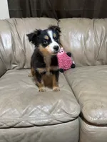 processed/6fbd615c-a1b8-427c-89e9-193ce1e3c3b6/listing/baa4a049-15fe-4660-9fd2-6aef0174b14d/584ba4fd-7d09-4135-bec1-4cda920fb12a