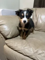 processed/6fbd615c-a1b8-427c-89e9-193ce1e3c3b6/listing/baa4a049-15fe-4660-9fd2-6aef0174b14d/70f0fe89-cdd4-40f2-b0c0-1d9925594057