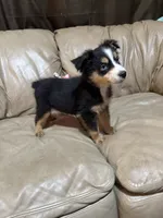 processed/6fbd615c-a1b8-427c-89e9-193ce1e3c3b6/listing/baa4a049-15fe-4660-9fd2-6aef0174b14d/78905d35-c003-42fb-a995-1e4ee28ccb5f