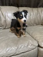 processed/6fbd615c-a1b8-427c-89e9-193ce1e3c3b6/listing/baa4a049-15fe-4660-9fd2-6aef0174b14d/8056618f-07a8-4b39-818f-f037c60d71df