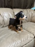 processed/6fbd615c-a1b8-427c-89e9-193ce1e3c3b6/listing/baa4a049-15fe-4660-9fd2-6aef0174b14d/a1f17ed5-072e-477f-9442-9b9158d454a9