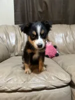 processed/6fbd615c-a1b8-427c-89e9-193ce1e3c3b6/listing/baa4a049-15fe-4660-9fd2-6aef0174b14d/a456e008-716f-45c3-a154-dad7ed128018