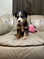 processed/6fbd615c-a1b8-427c-89e9-193ce1e3c3b6/listing/baa4a049-15fe-4660-9fd2-6aef0174b14d/e925e899-72ea-447b-9eb3-552b8cd7d5cc