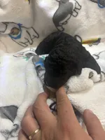 processed/6fc5af39-8af9-490c-b6d2-c378e5e6f1c2/listing/4c5bb828-41a0-43fa-9f1d-c67965bb2393/cdbbfb0c-a55b-4ae0-b992-1a83354c3584