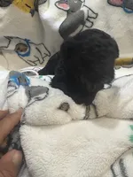 processed/6fc5af39-8af9-490c-b6d2-c378e5e6f1c2/listing/4c5bb828-41a0-43fa-9f1d-c67965bb2393/dff8b978-ff57-432e-aa20-25022f99fc35