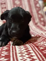 processed/6fcbea98-6a2d-45ea-88ed-7dfce5c68d1d/listing/1327918b-678b-4e8f-be78-e93278ba6eb8/35088a18-e075-4080-be21-e41cb6952cf5