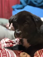 processed/6fcbea98-6a2d-45ea-88ed-7dfce5c68d1d/listing/763ccc3a-8d35-4ded-8e0d-2908e5973d55/17b8411a-c058-4302-ab57-a08ad5cae7a5