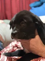 processed/6fcbea98-6a2d-45ea-88ed-7dfce5c68d1d/listing/763ccc3a-8d35-4ded-8e0d-2908e5973d55/dc6d0724-392c-44ae-bccc-48a0a4310fb3