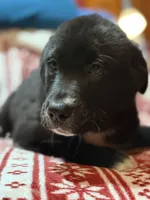 processed/6fcbea98-6a2d-45ea-88ed-7dfce5c68d1d/listing/763ccc3a-8d35-4ded-8e0d-2908e5973d55/ffc4e7b7-1182-415f-9876-baad8d282bad