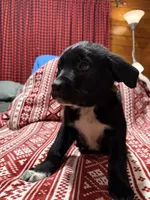 processed/6fcbea98-6a2d-45ea-88ed-7dfce5c68d1d/listing/e0cdef4d-68ef-40c6-ad60-224f1627bf11/8285e5b9-ea37-49bf-a889-b80594863638