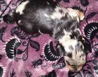 processed/6fd1288f-7860-4a3d-b881-4fd28309507e/listing/79a3efbc-3948-4d89-9a9a-a1334d8c515c/7ddfd415-5676-4887-b39c-28815109f735