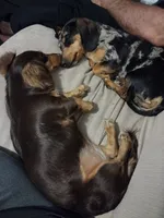 processed/6fd1288f-7860-4a3d-b881-4fd28309507e/listing/79a3efbc-3948-4d89-9a9a-a1334d8c515c/ff2948c4-46d2-45a9-8d5e-08728a6df10e