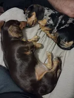 processed/6fd1288f-7860-4a3d-b881-4fd28309507e/listing/c78f0aab-f2a1-4d68-822d-68d5ac49ac22/709f3fc6-ad5e-4d9a-ab12-9d57483d4a44