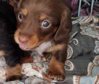 processed/6fd1288f-7860-4a3d-b881-4fd28309507e/listing/c78f0aab-f2a1-4d68-822d-68d5ac49ac22/f1365c11-e5db-40dc-a337-ef84f38c3bdd