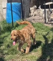 processed/6fd37b90-f5e7-4466-8645-9f1d99940d79/listing/9dd33bca-ef0c-48c1-9edb-aca2c5fd484c/16547aca-d325-4216-be02-9a0864d23216