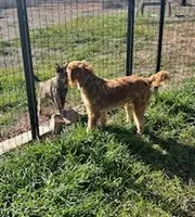 processed/6fd37b90-f5e7-4466-8645-9f1d99940d79/listing/9dd33bca-ef0c-48c1-9edb-aca2c5fd484c/3a8606de-cf9b-4131-8015-25651ce58e92