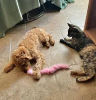 processed/6fd37b90-f5e7-4466-8645-9f1d99940d79/listing/9dd33bca-ef0c-48c1-9edb-aca2c5fd484c/890a2f75-470b-4094-96b1-aa584e600d3f