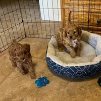 processed/6fd37b90-f5e7-4466-8645-9f1d99940d79/listing/9dd33bca-ef0c-48c1-9edb-aca2c5fd484c/9c0c4bc3-7868-417d-8611-10d848db44d3