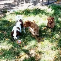 processed/6fd37b90-f5e7-4466-8645-9f1d99940d79/listing/9dd33bca-ef0c-48c1-9edb-aca2c5fd484c/ad783fe5-a7b1-43a1-b06c-20a1d3370ae5