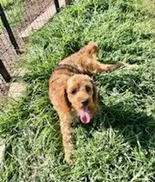 processed/6fd37b90-f5e7-4466-8645-9f1d99940d79/listing/9dd33bca-ef0c-48c1-9edb-aca2c5fd484c/d9fdd407-31cd-44ca-a96a-b4b2415d0511