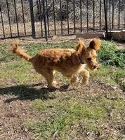 processed/6fd37b90-f5e7-4466-8645-9f1d99940d79/listing/9dd33bca-ef0c-48c1-9edb-aca2c5fd484c/edf851b1-1b37-4cd9-8ed8-902c27816315