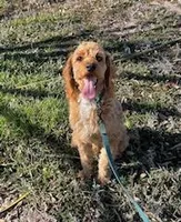 processed/6fd37b90-f5e7-4466-8645-9f1d99940d79/listing/9dd33bca-ef0c-48c1-9edb-aca2c5fd484c/efa251dc-801e-493b-b82b-6a579145d880