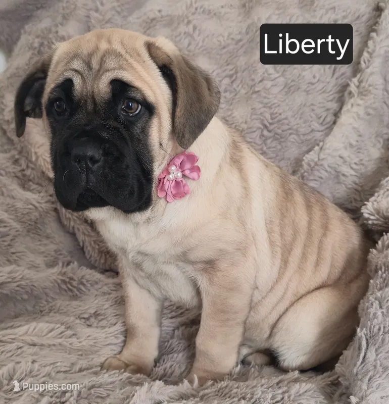Liberty