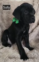 processed/6fd97ab2-f753-41ed-8d99-3faa2b13da1b/listing/a0a1d516-8151-4c4a-a389-53fed953560d/8d85f124-bdd0-405e-a761-450e401df1f5